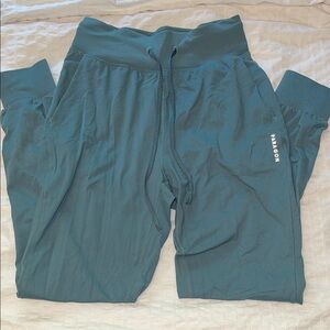 Paragon Sage Jogger Pants